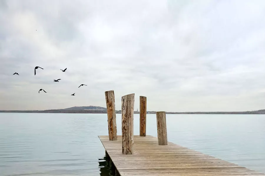 Seebestattung böblingen zeigt ein Holzsteg im Wasser, mit Vögeln die am Himmel fliegen.